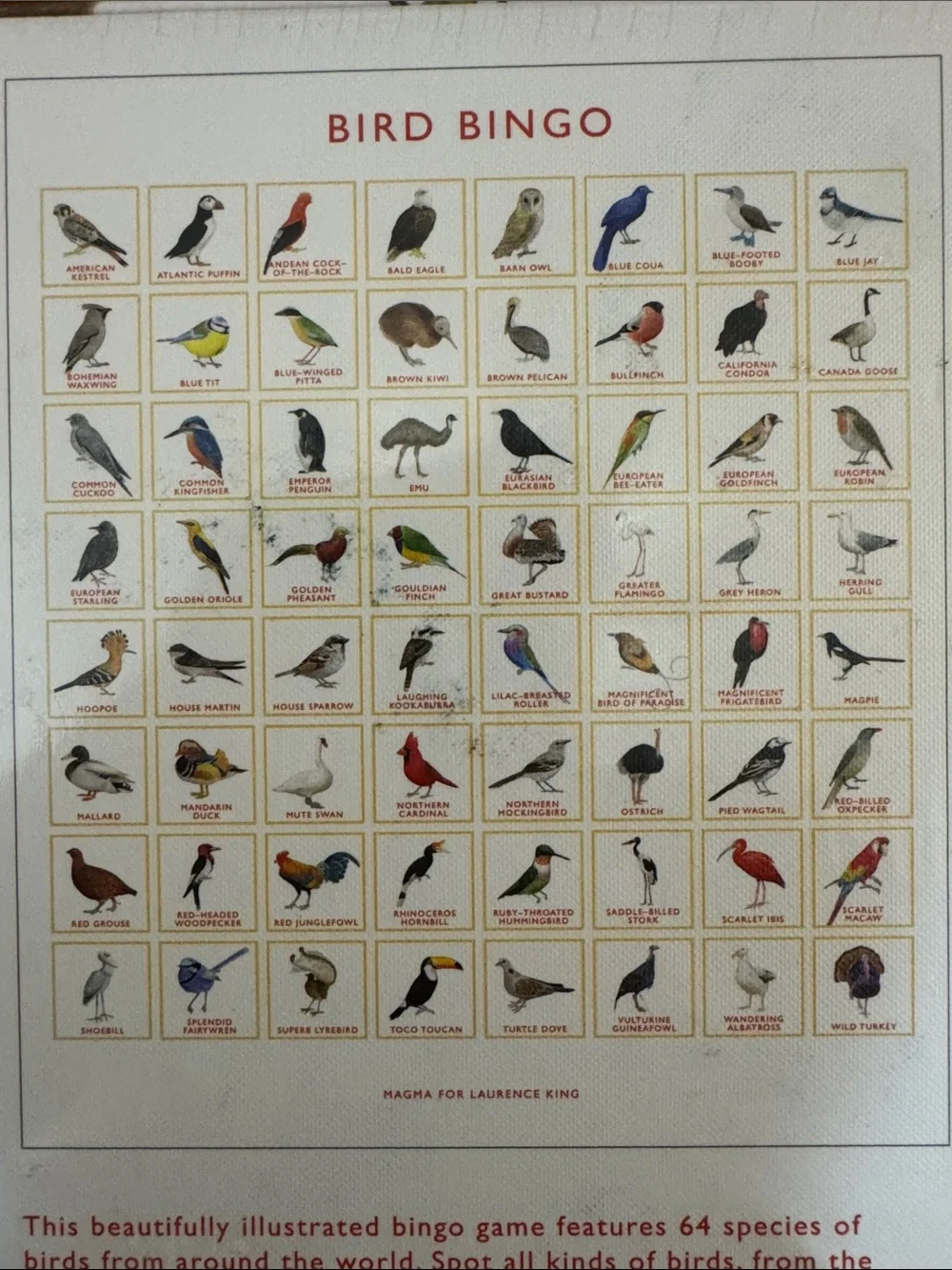 Bird Bingo